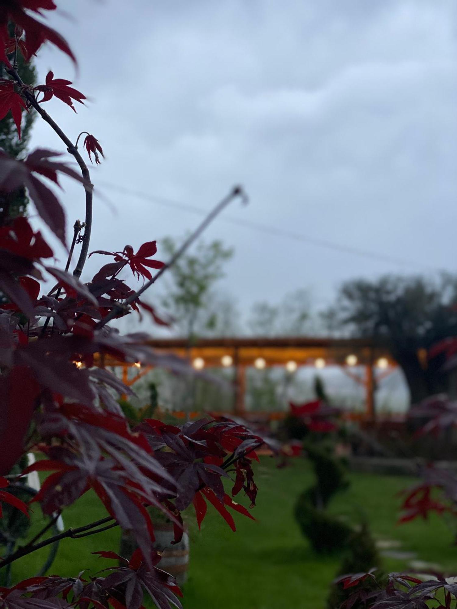 Hotel Restaurant Natyra E Qete Лежа Экстерьер фото